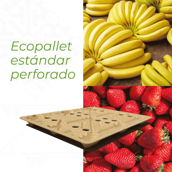 ecopallet-informacion-08