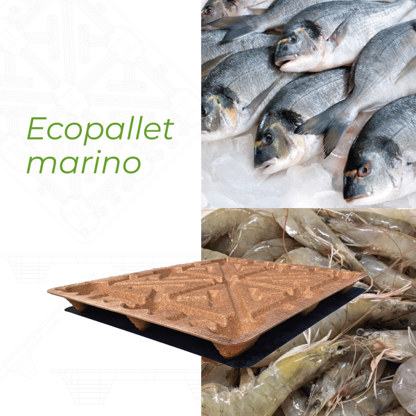 ecopallet-informacion-09