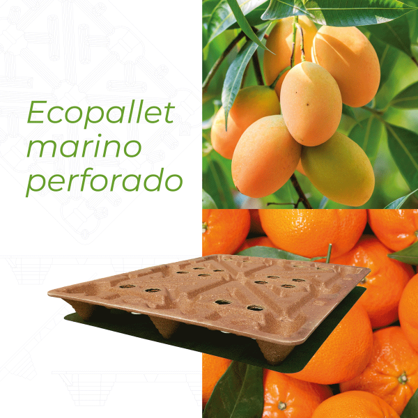 ecopallet-informacion-10